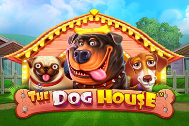Играть в The Dog House Мартин Казино